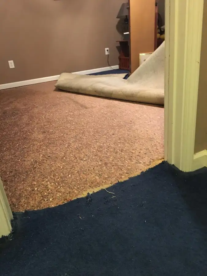 Carpet pad removal revealing water damage during Drying & Dehumidification in New Franklin
